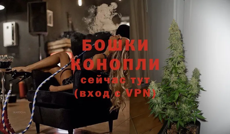 KRAKEN ССЫЛКА  Курчатов  Каннабис White Widow 